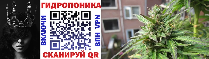 Магазины продажи наркотиков Чистополь COCAIN  Альфа ПВП  Конопля  Галлюциногенные грибы  ГАШ 
