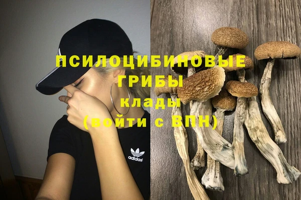 дурь Алексин