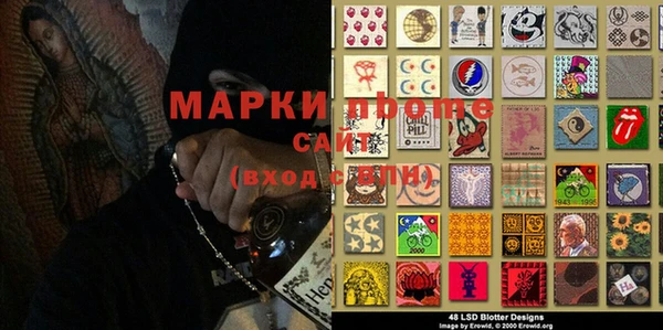 прущие грибы Алексеевка