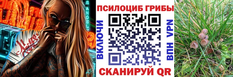 Псилоцибиновые грибы мухоморы  где купить наркотик  Чистополь 