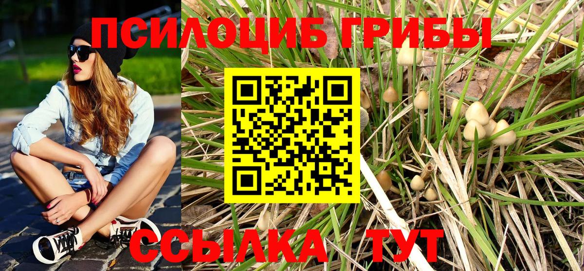 Галлюциногенные грибы Psilocybine cubensis Чистополь