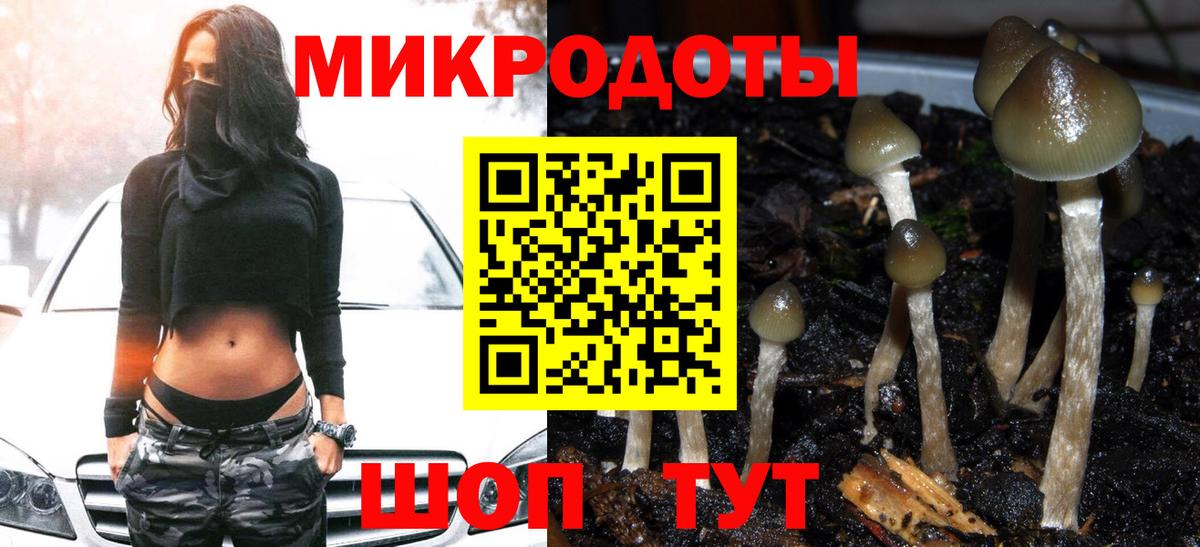 Чистополь  Псилоцибиновые грибы Cubensis  Вход с VPN 